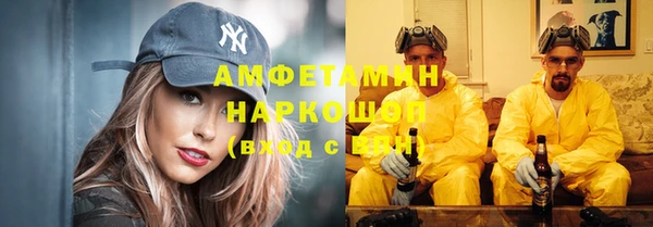 дживик Липки
