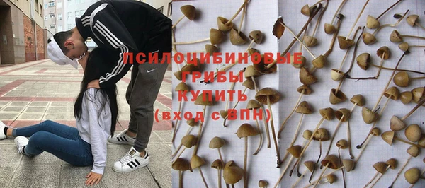 дживик Липки
