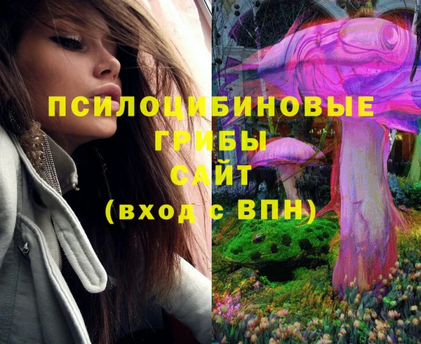 ГАЛЛЮЦИНОГЕННЫЕ ГРИБЫ Лихославль