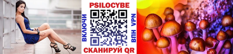 Галлюциногенные грибы Psilocybine cubensis  Гаврилов Посад 